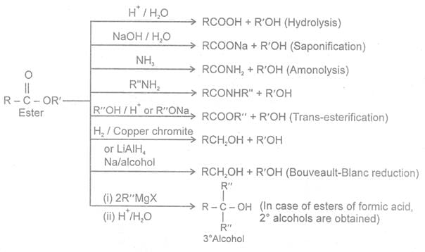 Aldehydes, Ketones, Carboxylic Acids, CBSE, Class XII, IIT JEE, Syllabus, Preparation, AIPMT, NCERT, Important